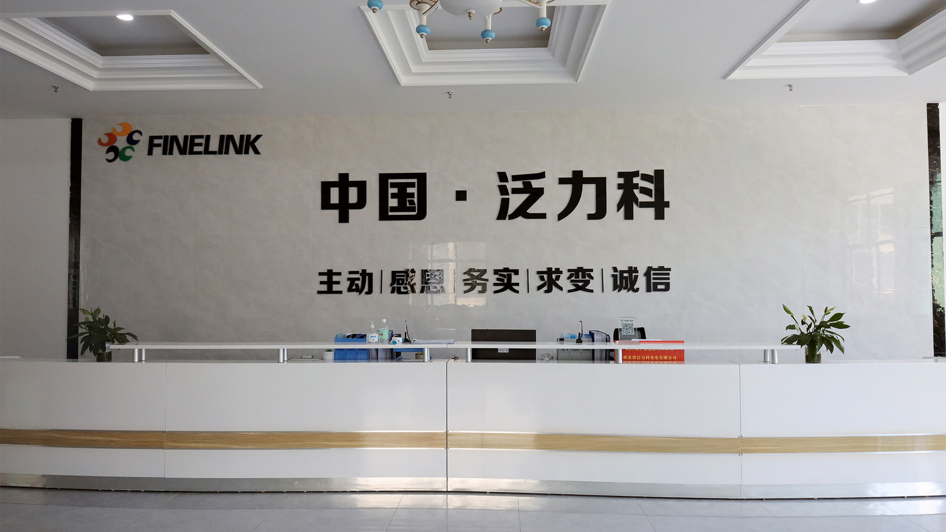 중국 Hubei Finelink Photoelectric Co., Ltd.